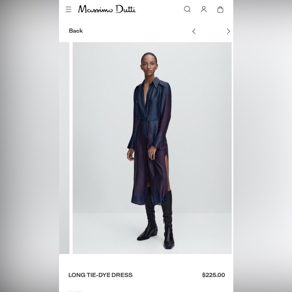 Massimo Dutti dress/duster